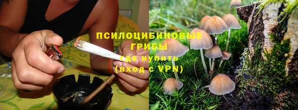 ГАЛЛЮЦИНОГЕННЫЕ ГРИБЫ Бугульма