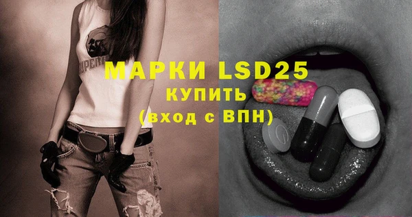 mdma Бородино