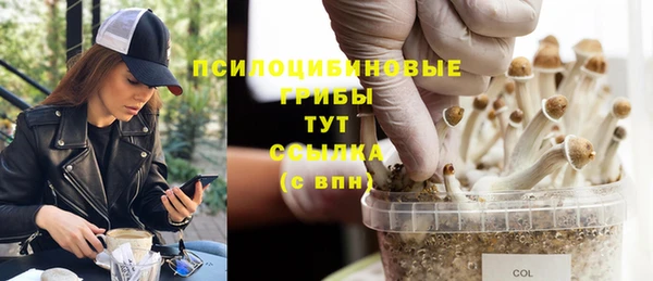 ГАЛЛЮЦИНОГЕННЫЕ ГРИБЫ Бугульма