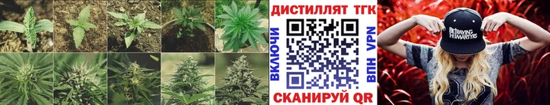 Купить  Сухиничи  Дистиллят ТГК Wax 