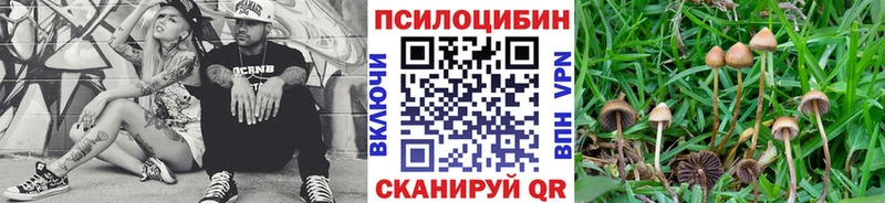 Купить где  Сухиничи  Галлюциногенные грибы мухоморы 
